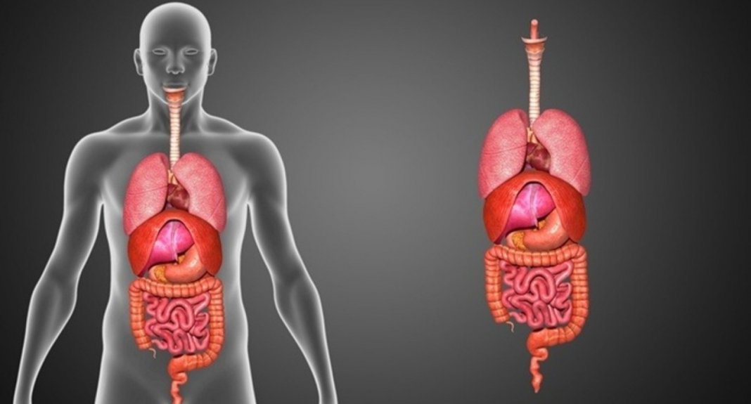 12 sinais de deficiência de vitamina D que muitos ignoram – inclusive você!