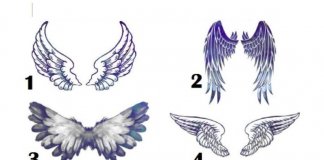 Escolha um par de asas, e descubra qual arcanjo orienta e ajuda você