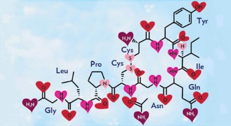 sabervivermais.com - Por que nos apaixonamos? Conheça a química do amor