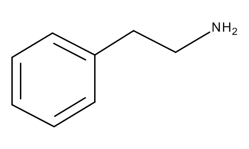 sabervivermais.com - Por que nos apaixonamos? Conheça a química do amor