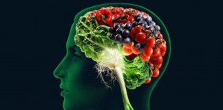 A importância da alimentação para o cérebro