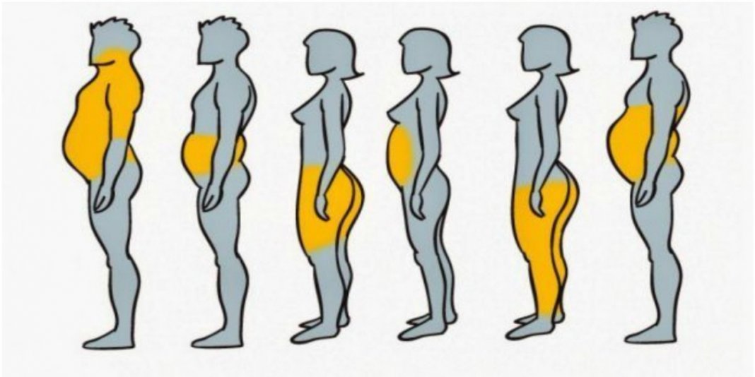 6 tipos de gordura corporal e como livrar-se dela