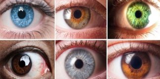 Descubra o que a cor dos seus olhos revela sobre sua personalidade