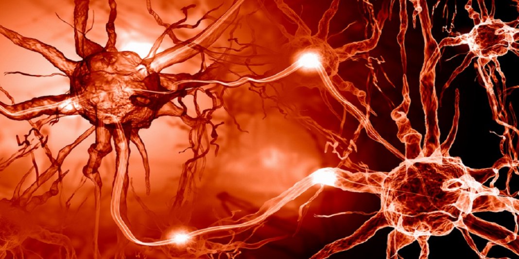 Tratamento do Alzheimer restaura totalmente a função da memória
