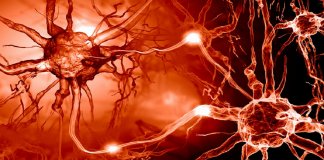 Tratamento do Alzheimer restaura totalmente a função da memória