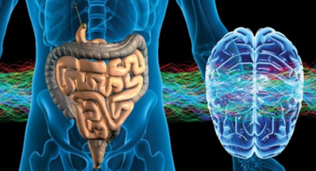 Resultado de imagem para SENTIMENTOS DO INTESTINO AFETAM A SAÃšDE MENTAL, A DEPRESSÃƒO E A ANSIEDADE