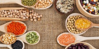 Guia completo sobre Proteínas Vegetais