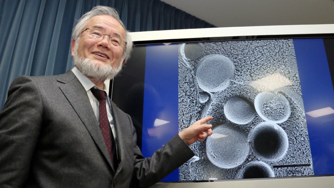 Nobel de medicina é categórico: Jejum é muito melhor do que comer a cada 3 horas