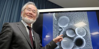 Nobel de medicina é categórico: Jejum é muito melhor do que comer a cada 3 horas