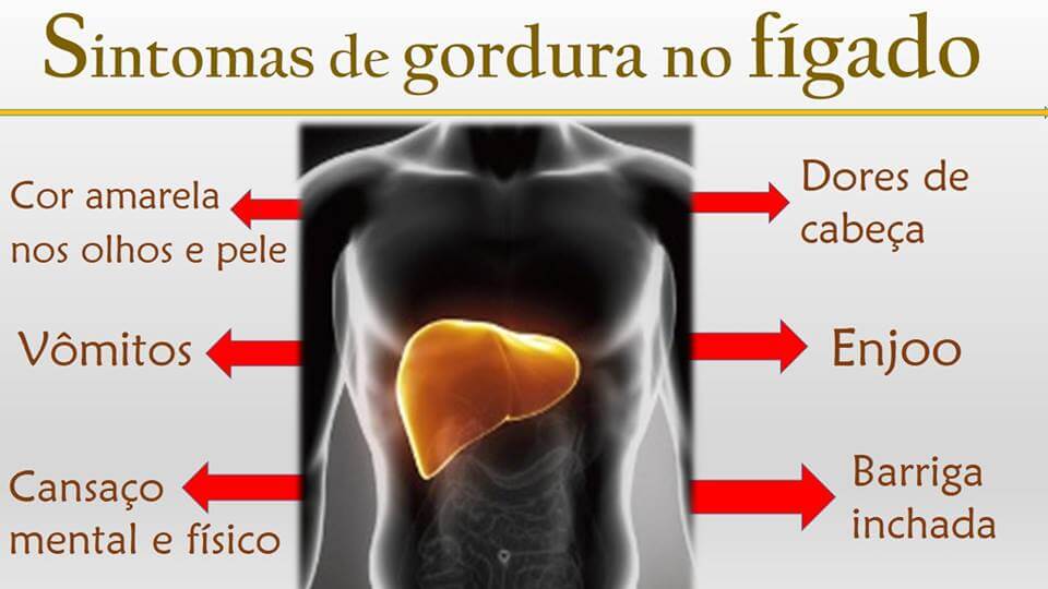 sabervivermais.com - Receita natural mostra como remover a gordura no fígado em 5 dias e limpar o intestino preso