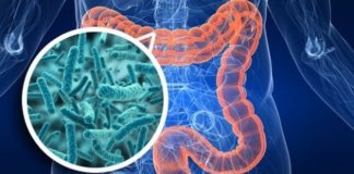 Disbiose intestinal: já ouviu falar? por  Nutricionista Daniela Mendes Tobaja
