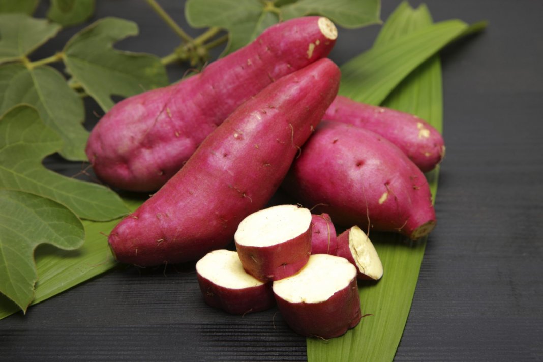 A batata-doce é a chave para o fim da gastrite, refluxo, azia, e até mesmo úlceras!