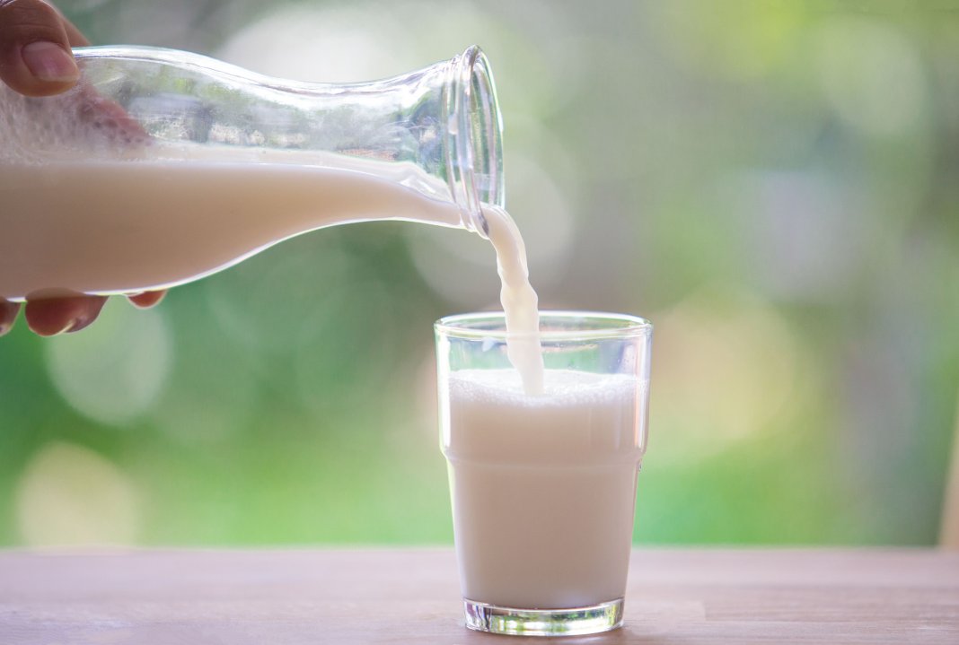 Estudos comprovam que leite atrapalha absorção de remédio para a tireoide