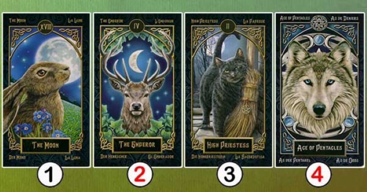 sabervivermais.com - Escolha uma das 4 cartas e veja a mensagem que temos para você!