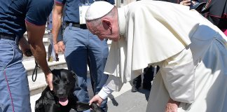 Papa Francisco diz que todos os cães merecem ir para o Céu