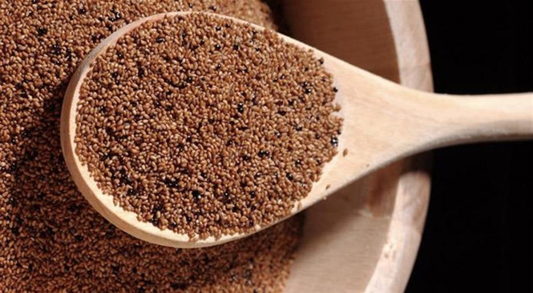 Conheça a Farinha de Teff, zero de glúten e rica em fibras e vitaminas