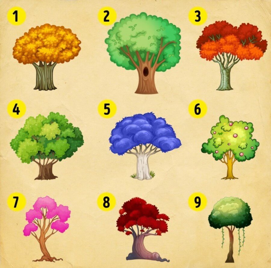sabervivermais.com - Escolha uma árvore e descubra as mudanças que você deve esperar