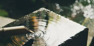 A água da vida – uma metáfora sobre o egoísmo