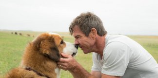 Cientistas afirmam que possuir cão rejuvenesce dono em até 10 anos