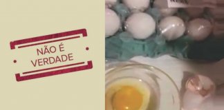 Ovos de plástico importados da China? Descubra a verdade por trás dos vídeos que viralizaram