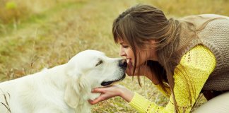 Os cães nunca morrem, dormem junto ao nosso coração