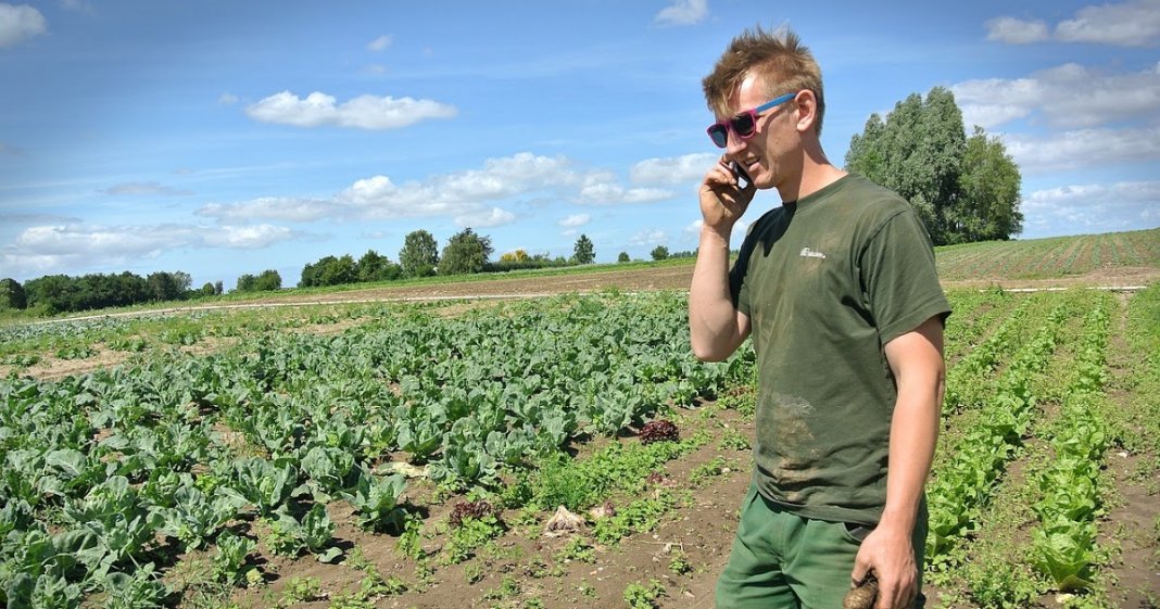 Dinamarca quer duplicar a sua produção de alimentos orgânicos até 2020