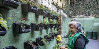 Creches para idosos começam a surgir no Rio de Janeiro