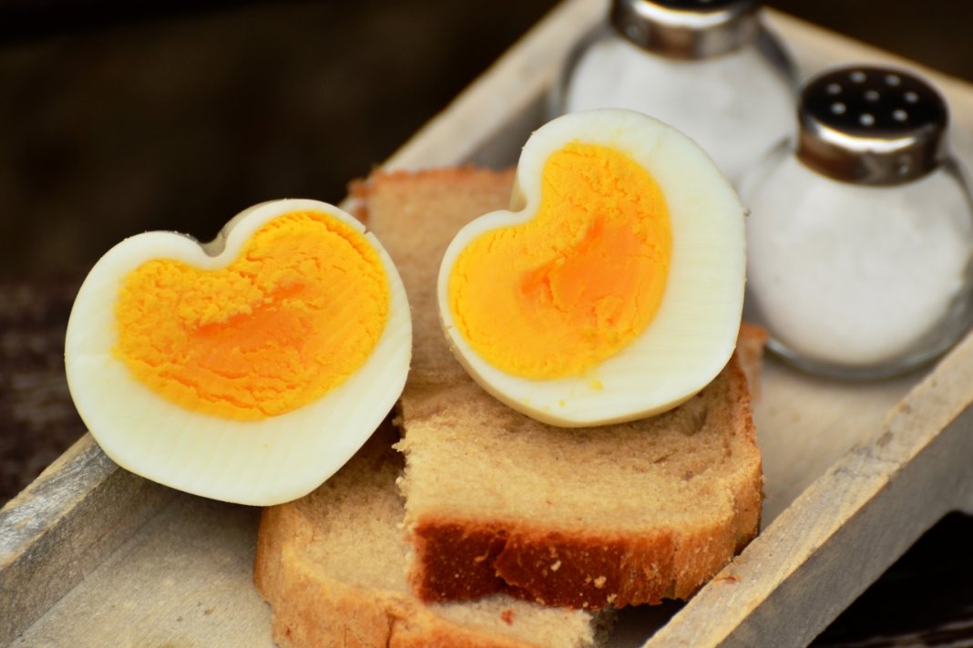 Comer um ovo por dia pode reduzir riscos de derrame