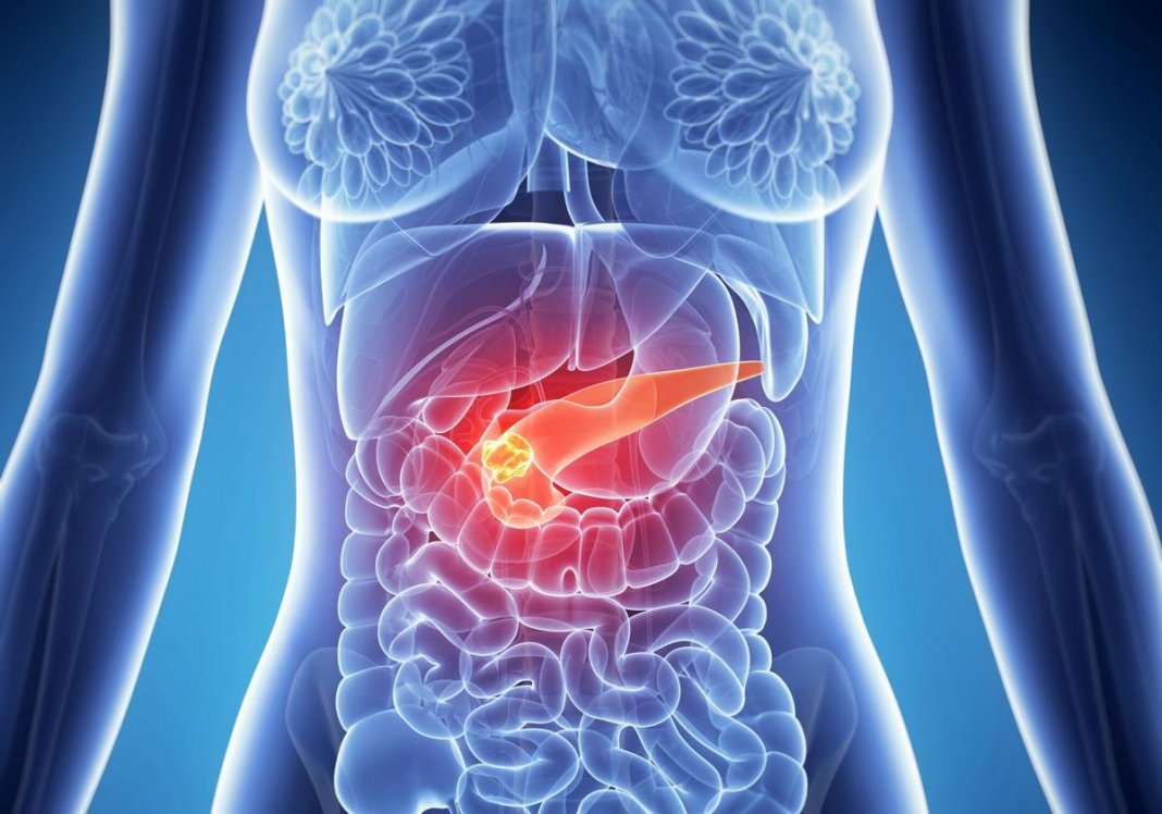 Jejum intermitente pode regenerar pâncreas diabético, diz estudo