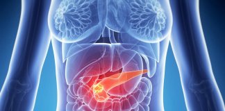 Jejum intermitente pode regenerar pâncreas diabético, diz estudo