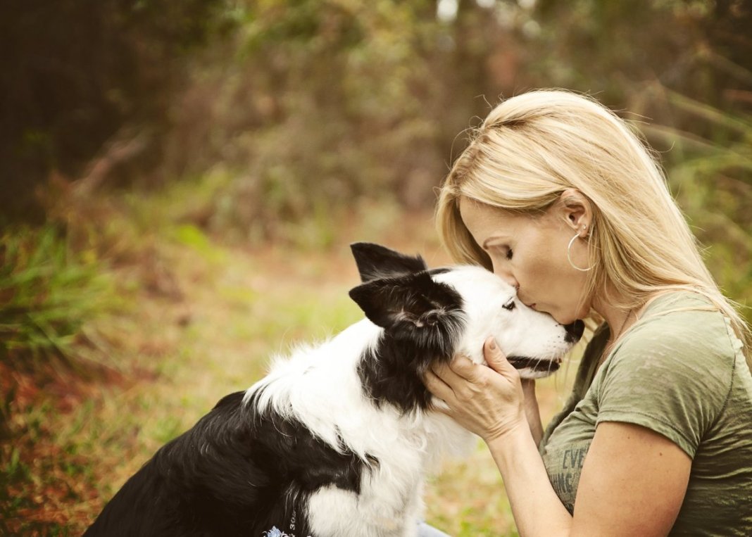 Estudo afirma que amor entre cão e dono é o mesmo de mãe e filho