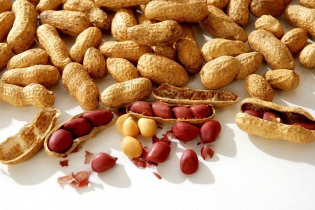 Conheça os benefícios do amendoim, barato e ajuda emagrecer!