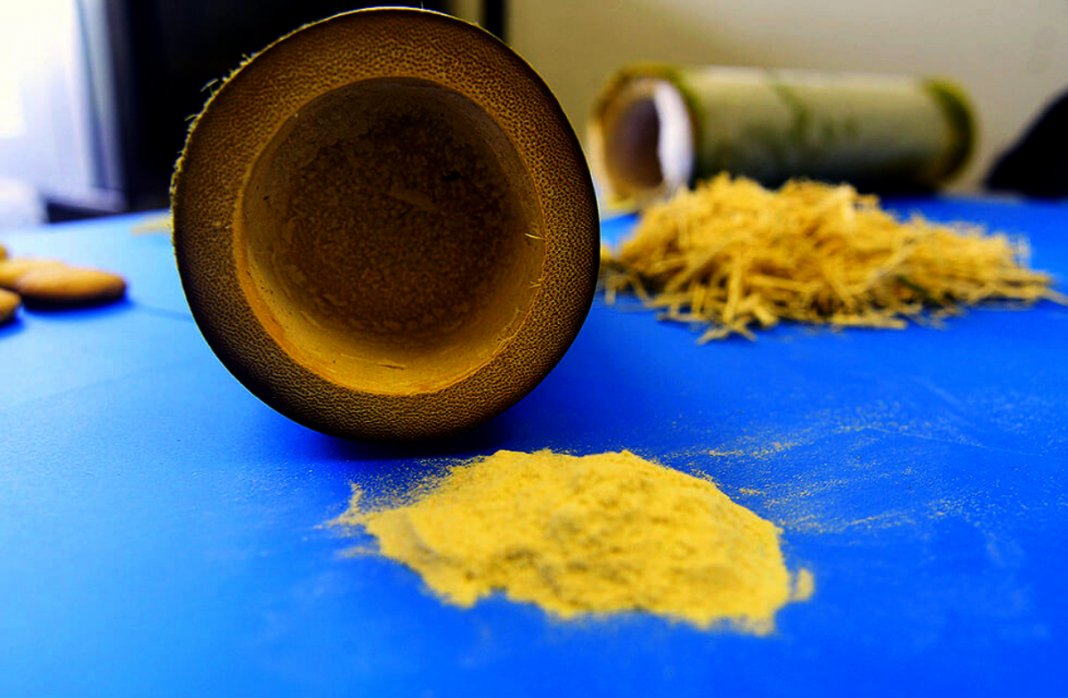 Farinha à base de bambu é testada com sucesso no preparo de ‘cookie’ e macarrão