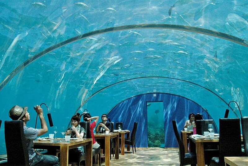 sabervivermais.com - Ilhas Maldivas: conheça o primeiro restaurante submerso do mundo