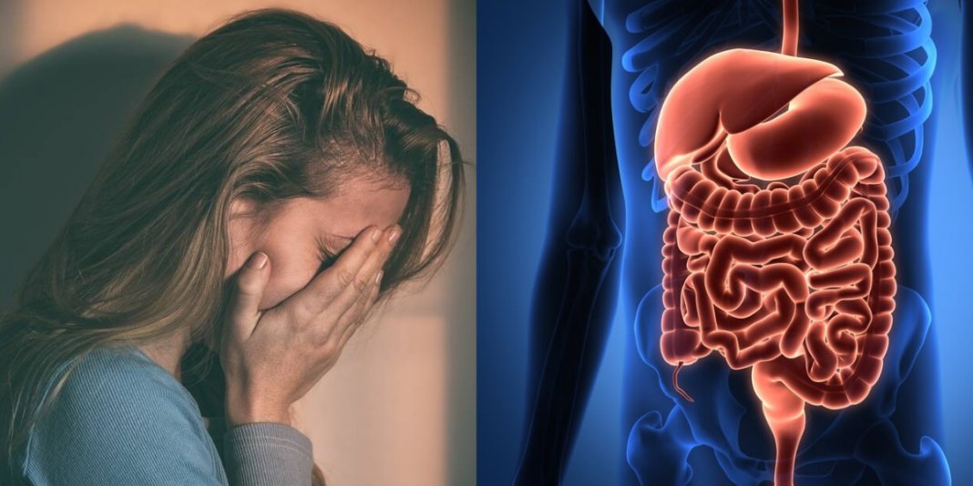 Intestino e depressão: uma questão de limpeza