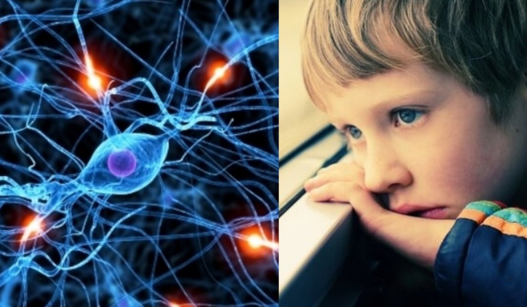 Cientistas reativam células cerebrais de autistas