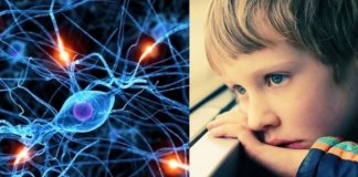 Cientistas reativam células cerebrais de autistas