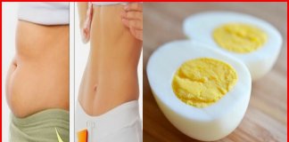 Dieta do ovo cozido- Faz você perder até 10 kg e duas semanas