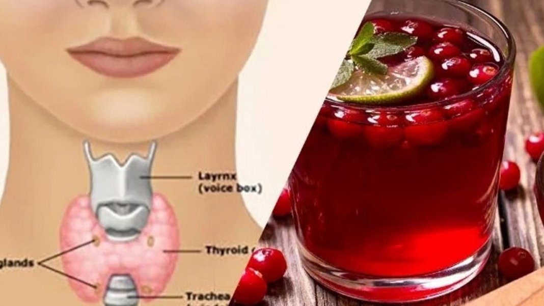 Se você tem hipotireoidismo ou desequilibrio hormonal você deve beber este shake