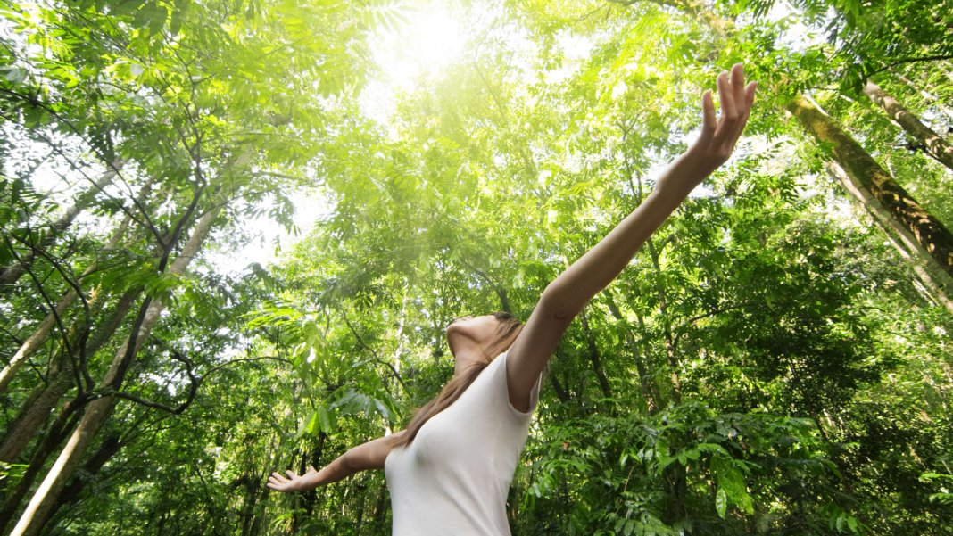 Segundo estudo, sentir o cheiro da natureza podem evitar estresse e várias doenças