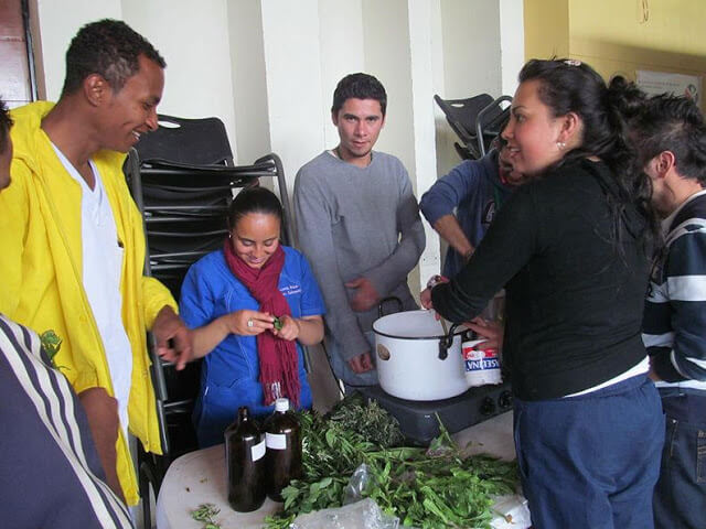 sabervivermais.com - Hospital na Colômbia receita seus pacientes só com plantas medicinais