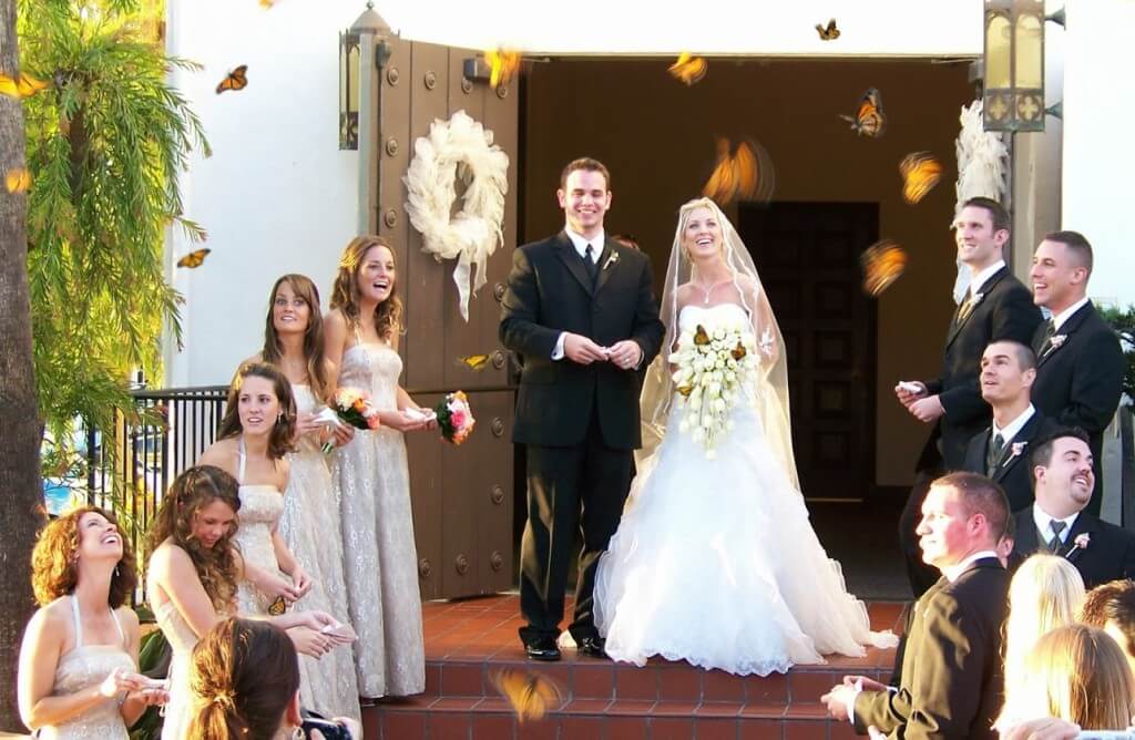 sabervivermais.com - Futilidade perversa: nova "tendência", noivas estão congelando borboletas para soltarem nas cerimônias de casamento