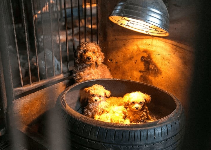 Captura-de-pantalla-2019-02-14-a-las-10.02.09