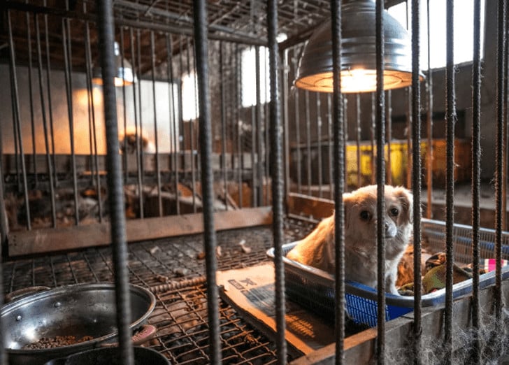 Captura-de-pantalla-2019-02-14-a-las-10.02.15