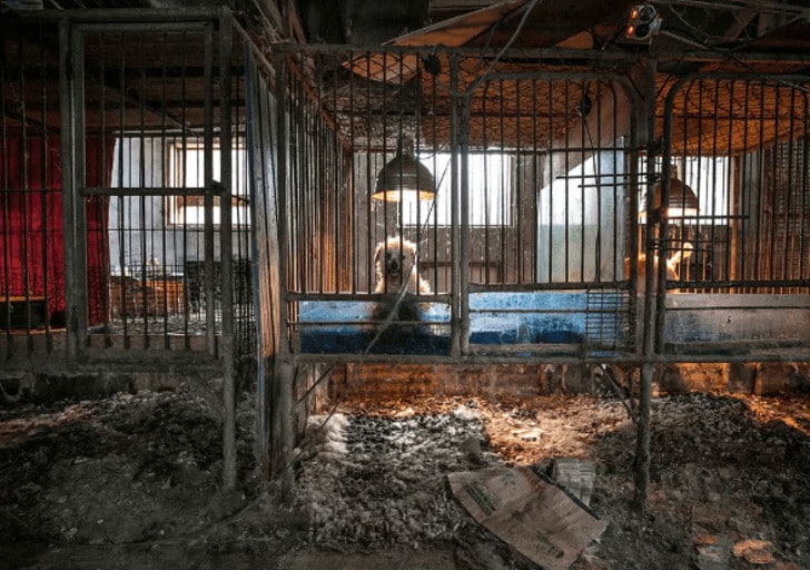 Captura-de-pantalla-2019-02-14-a-las-10.02.19