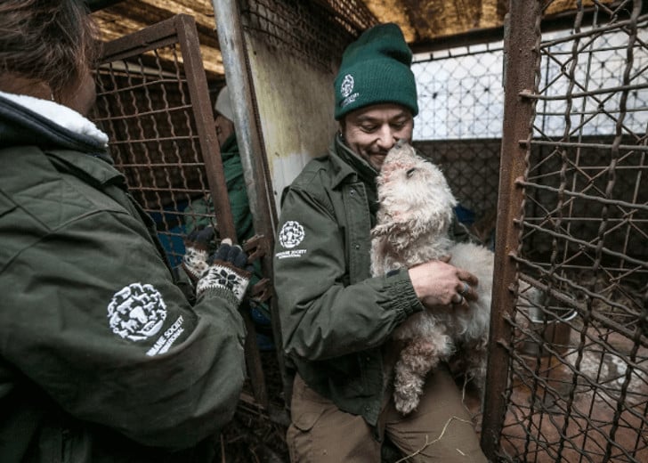 Captura-de-pantalla-2019-02-14-a-las-10.02.27