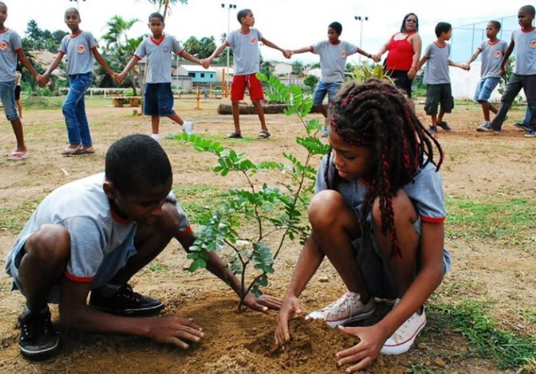 Educação Ambiental pode virar disciplina obrigatória nas escolas