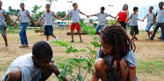 Educação Ambiental pode virar disciplina obrigatória nas escolas