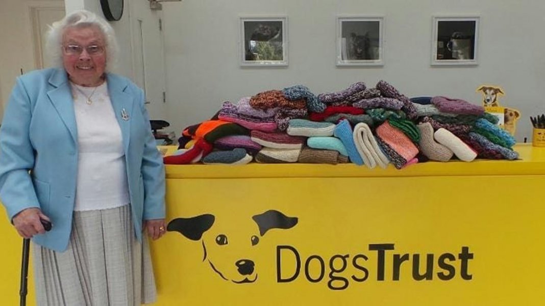 Idosa de 89 anos tricotou 450 cobertores para cães de abrigo