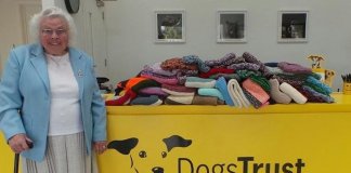 Idosa de 89 anos tricotou 450 cobertores para cães de abrigo